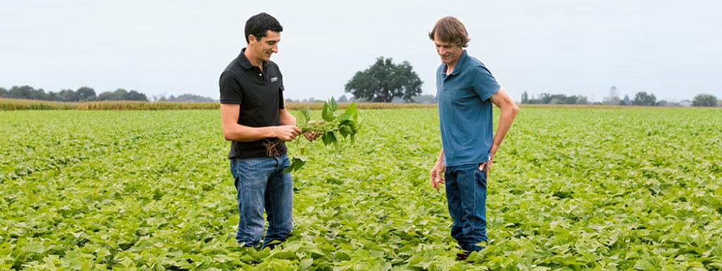 Cape on augmented agriculture!