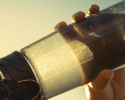 Най-добрите храни за здрава кожа