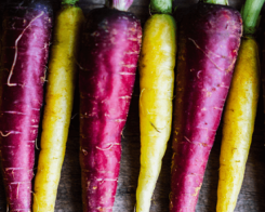 Лилав морков – не просто друг цвят