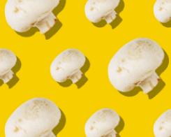 5 things to better know about mushrooms !