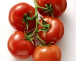 7 consigli per coltivare i pomodori