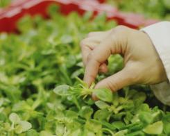 Notre pacte pour un monde meilleur