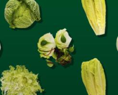 Which vegetable are you?