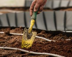 8 attrezzi per fare giardinaggio