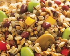 5 pasti al giorno: cosa mangiare per integrare le verdure a tavola