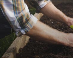 Good resolution: this year, I am gardening!