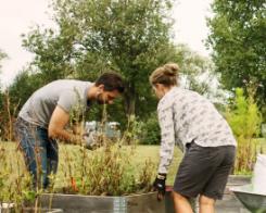 Shared gardens, how does it work?