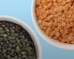 Legumes: good for me, good for the climate