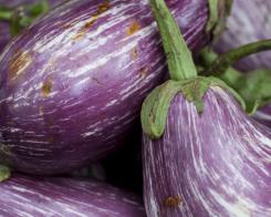 Consigli per non sprecare le verdure