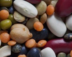 5 good reason to indulge with legumes