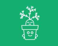 A decorative plant from a carrot?