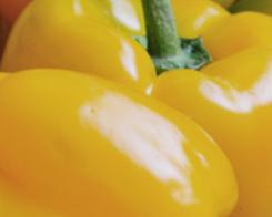 Vitamin C : The vegetables containing the most