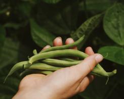 Le durable, ça se cultive !