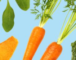 The 4 vegetable that will preserve your tan