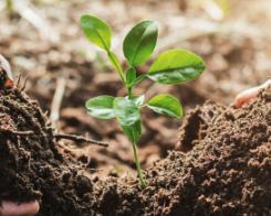 De 7 beloftes van Bonduelle