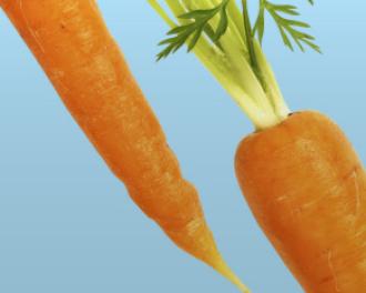 Give your vegetables a second life 