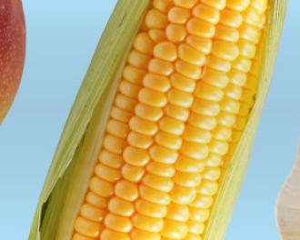 Keeping your fridge and cupboards tidy