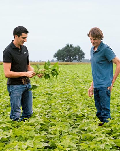 Cape on augmented agriculture!