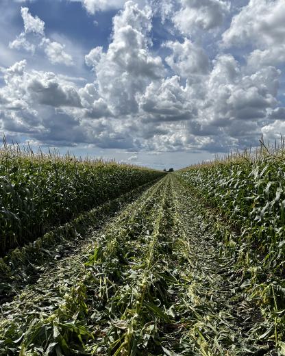 Környezeti céljaink
