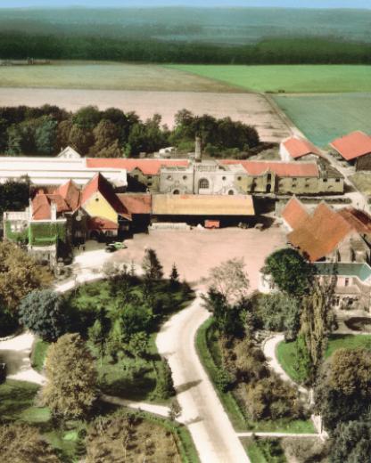 Het verhaal van een pionier in plantaardig voedsel