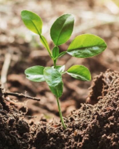 6 commitments of the Bondual brand