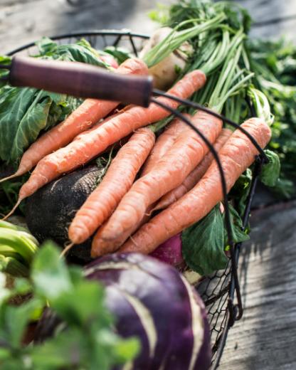 Le gâchis, ça suffit !