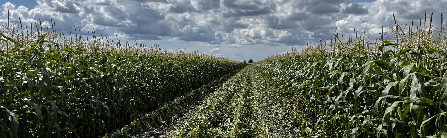 Környezeti céljaink