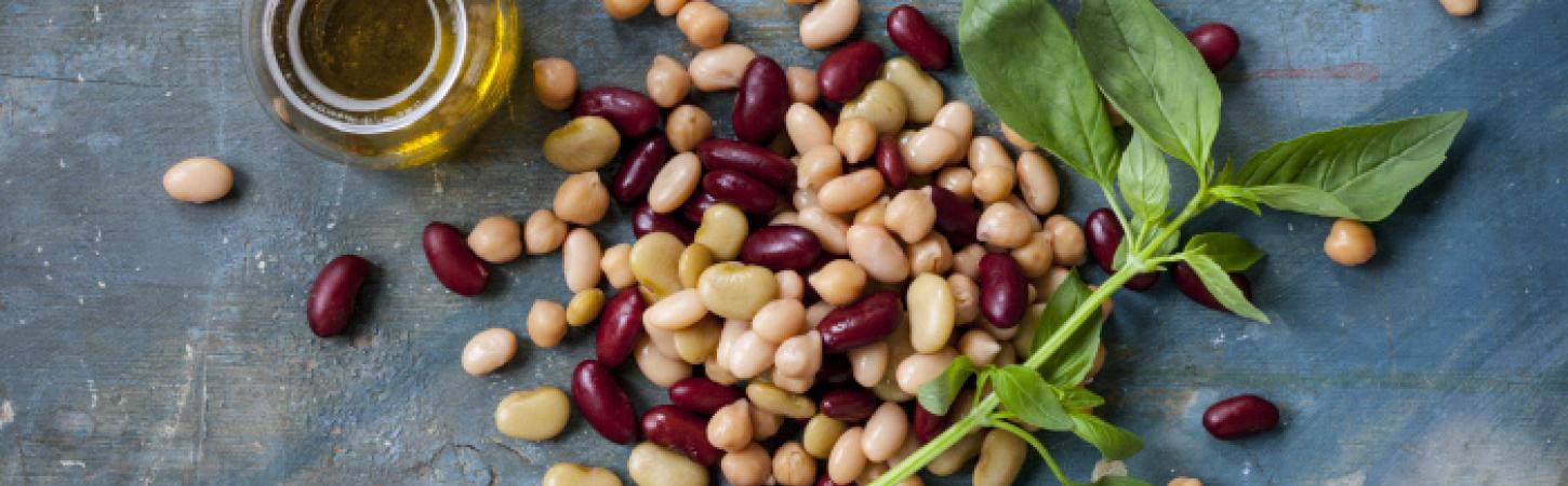 #7 Plantaardige inspiratie voor chefs