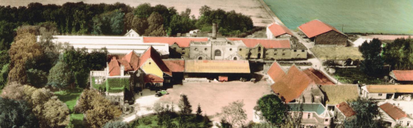 Het verhaal van een pionier in plantaardig voedsel