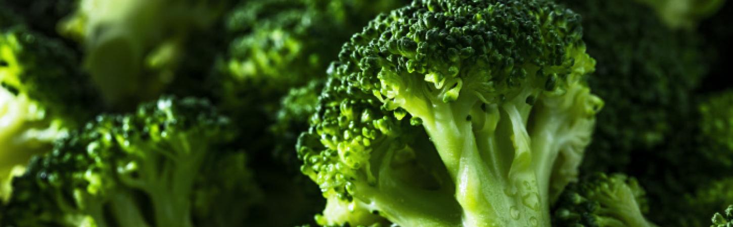 Le brocoli, un concentré d’énergie !