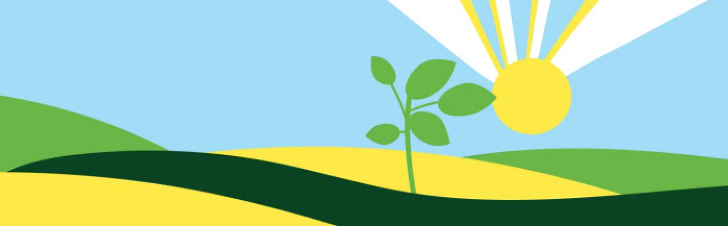 BONDUELLE, VOOR EEN BETER MORGEN