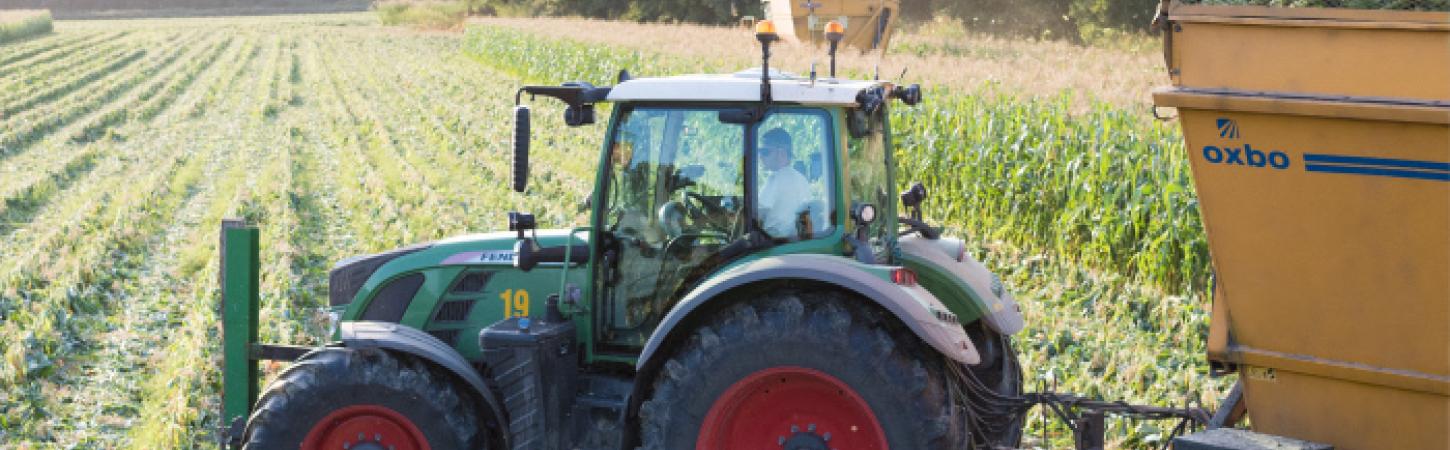 Du champ à l'assiette