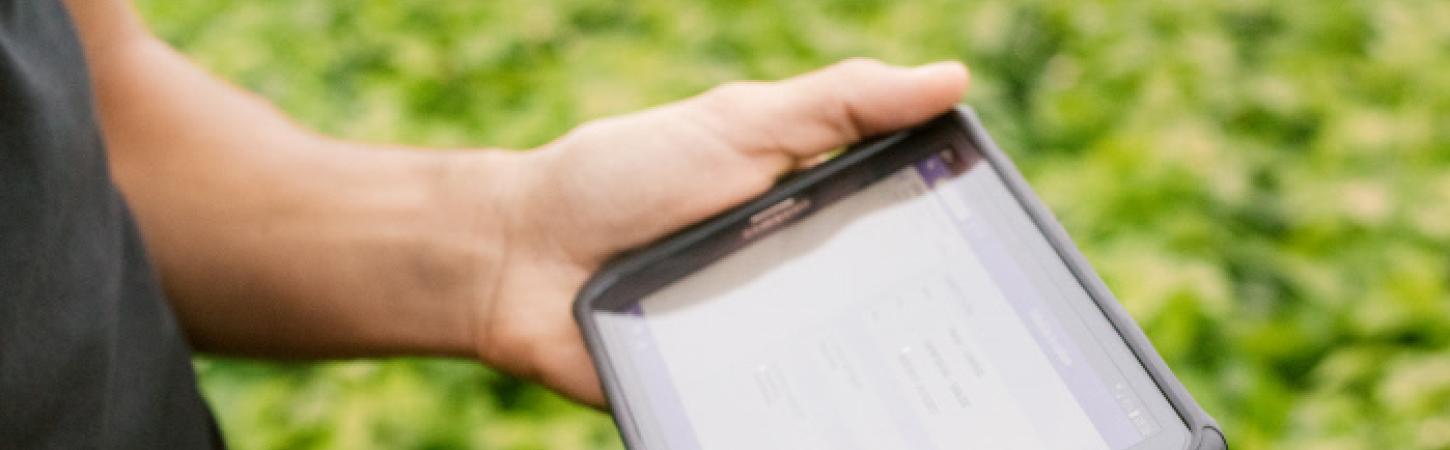 direct to the future