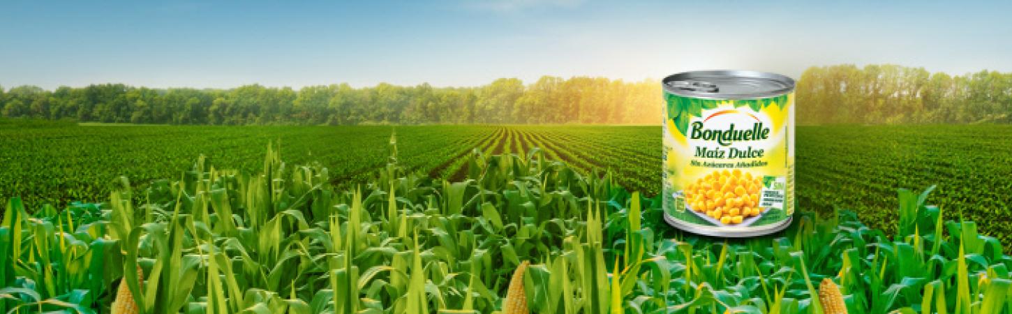 Discover our product