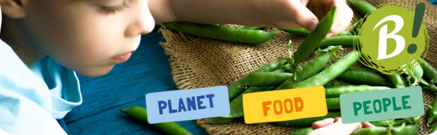 5 Our CSR Commitments