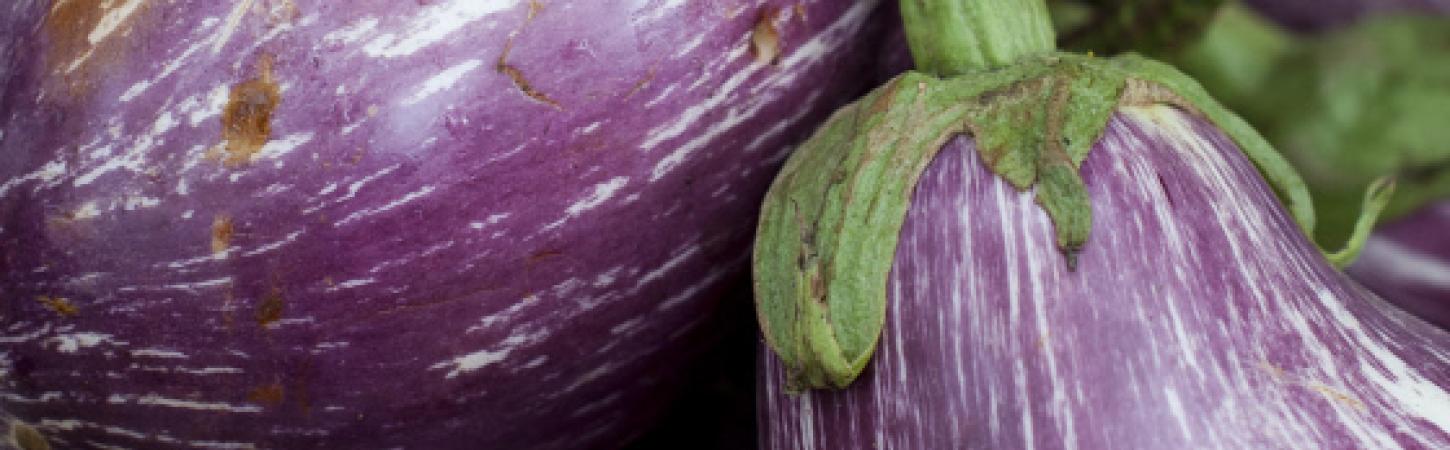 Consigli per non sprecare le verdure