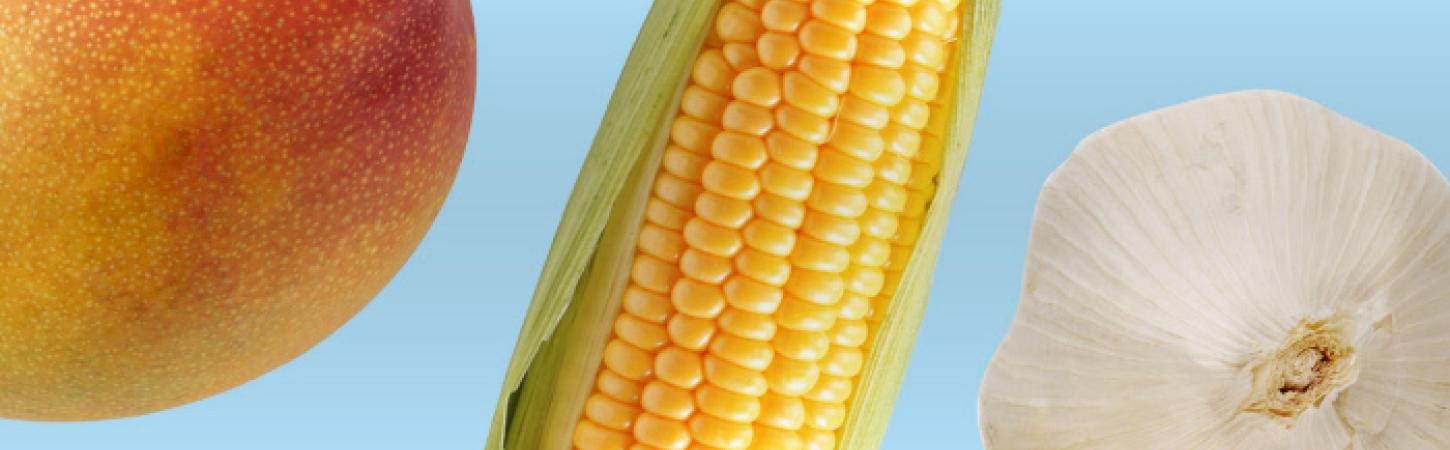 Keeping your fridge and cupboards tidy