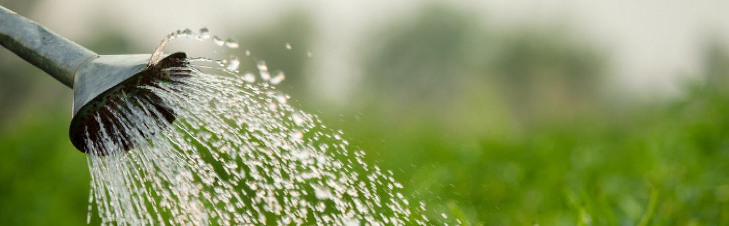 #3 Minder bestrijdingsmiddelen