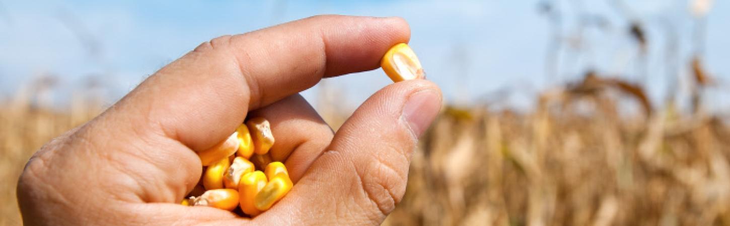 Het recept voor innovatie