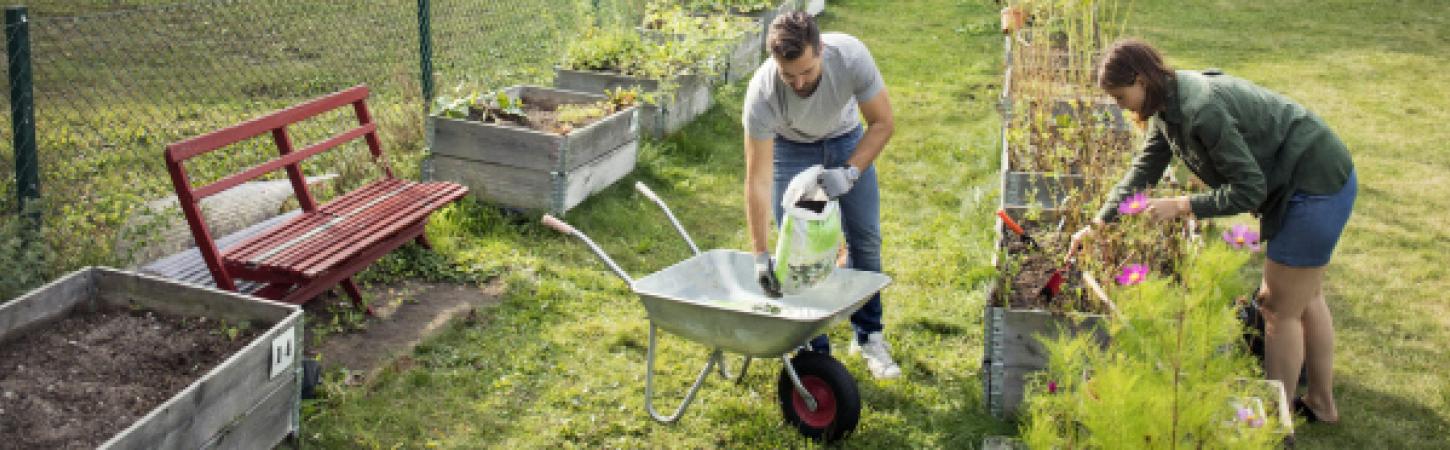 5 homemade natural fertilizers