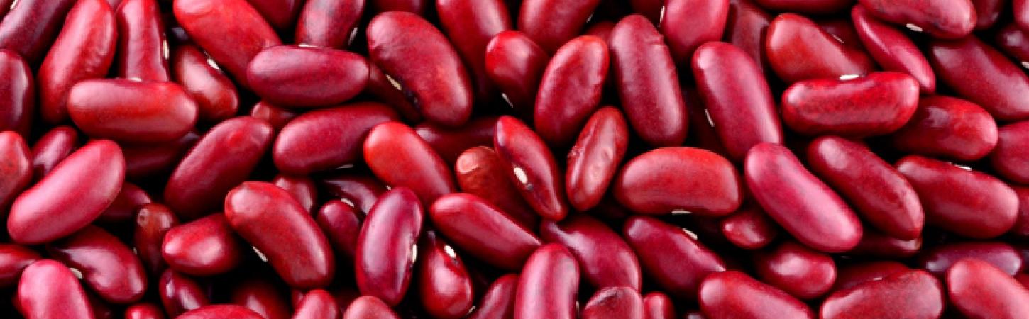 Our smart tips - Focus on small seeds